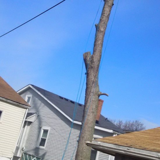 After Photos