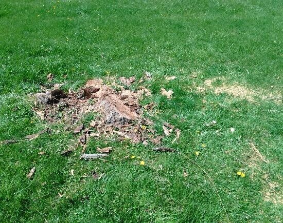 After Photos
