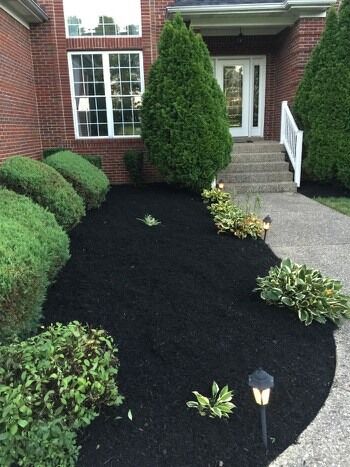 After Photos