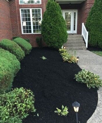 Tree and Shrub Care Shelbyville, KY