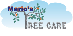 Tree Pruning logo