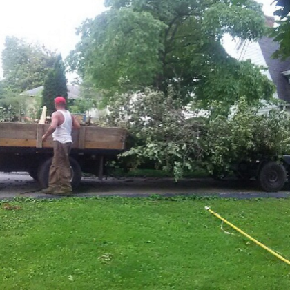 Tree Cleanup Shelbyville, Kentucky