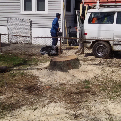 Tree Climber Company Shelbyville, KY