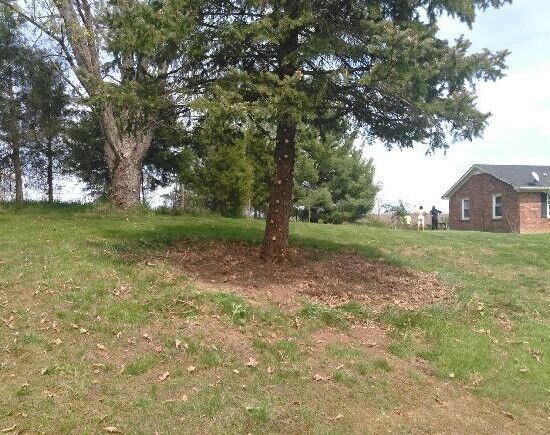 After Photos