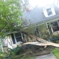 fallen-tree-limb-removal-shelbyville-ky