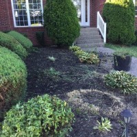 minor-tree-care-landscaping-shelbyville-ky