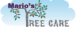 tree-care-shelbyville-ky-logo300x155