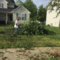 tree-hauling-services-shelbyville-ky