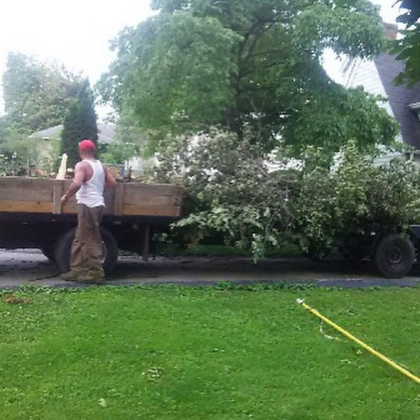 tree-removal-services-shelbyville-kentucky