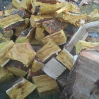tree-fire-wood-for-sale-shelbyville-ky