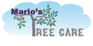 tree-service-shelbyville-marios-logo-standard-size