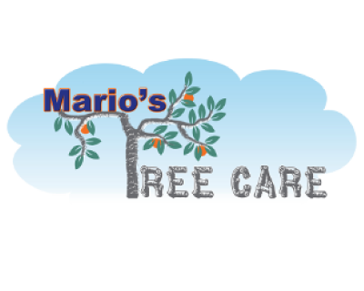 tree-service-shelbyville-marios-logo-standard-size