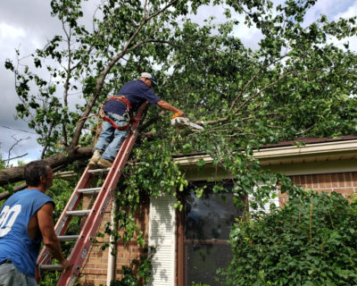emergency-tree-removal-service-shelbyville-ky